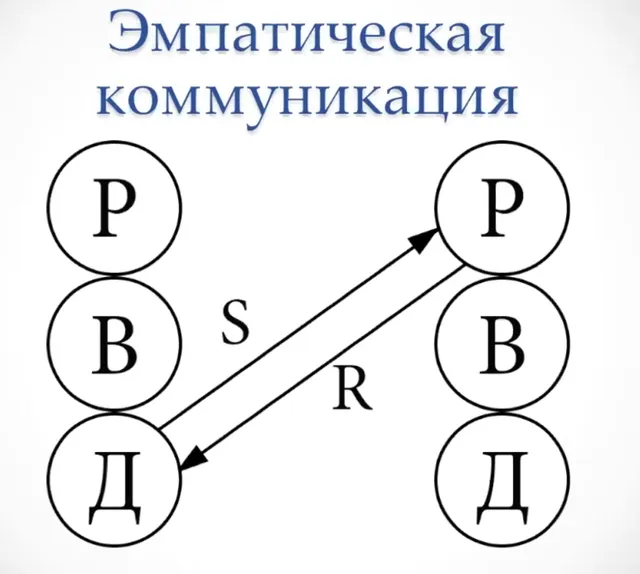 wp_bb5387dbb4_image-111.jpg